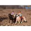 Đức Sile Ngựa Rider Thấp Ngựa Bỏ Túi Cưỡi Ngựa Cảnh Đạo Cụ Nhân Vật Động Vật Mô Hình Đồ Chơi Trẻ Em
