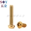 Chất liệu thép không gỉ 304 Đầu tròn bên trong Torx Vít chống trộm Đầu đĩa Bu lông Titan Xe máy Vít sửa đổi