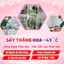 Sữa Chua Sấy Khô YoBite Kids 20Gr, Bổ Sung Lợi Khuẩn, Hỗ Trợ Tiêu Hóa, Ăn Dặm Bé 6M+