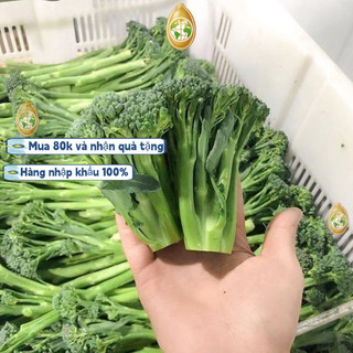Mầm bô- cải xanh -chịu nhiệt (bông cải trắng nhỏ), khoảng 300 mầm mỗi gói, dễ trồng và năng suất cao, k011Trung Quốc nhậ