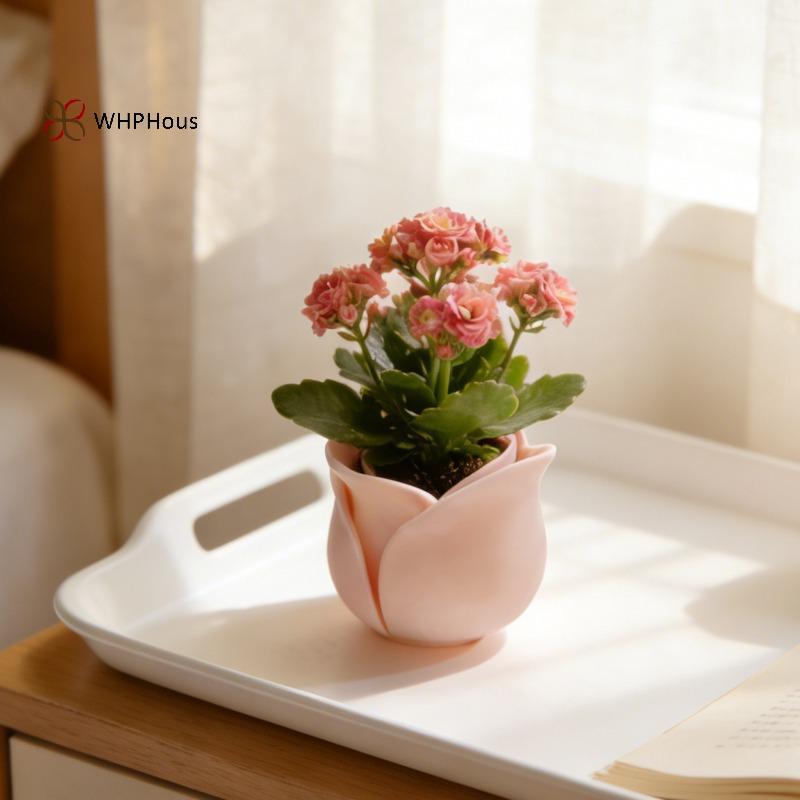 < WHPHous-t > Chậu cây hoa hồng Mini Bình hoa sáng tạo Máy trồng để bàn Chậu trang trí văn phòng tại nhà nhỏ Đẹp