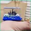 Dễ Thương Quicksand Móc Khóa Thuyền Nổi Túi Sách Móc Khóa Acrylic Dễ Thương Chất Lỏng Quicksand Thư Giãn Mặt Dây Chuyền Móc Khóa Cho sonlekvn