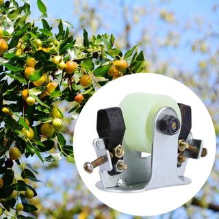 Công cụ loại bỏ vỏ cây LOVIVER Dụng cụ cắt trái cây cây cây hiệu quả cần thiết Dụng cụ trồng cây cao cấp để tỉa cây lớn
