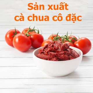 Sốt Cà Chua Đậm Đặc Ayam Tomato Puree 220g – Hương Vị Tự Nhiên, Đậm Đà Chuẩn Vị Ẩm Thực