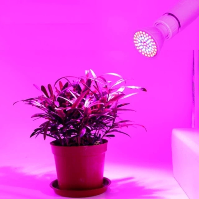 【COD】Đèn LED trồng cây E27 công suất tiết kiệm điện, lắp vào đui E27 dễ dàng, lý tưởng cho kệ trồng rau ban công.