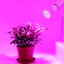 【COD】Đèn LED trồng cây E27 có các chuẩn E14 MR16 GU10 B22, tăng cường sinh trưởng cho cây cảnh trong lều nhà kính.