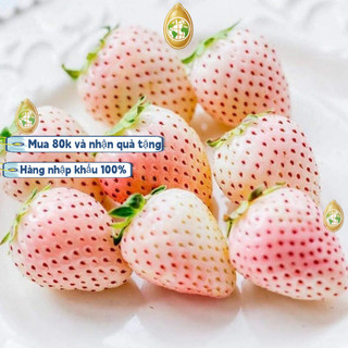 nhập khẩu200 Hạt - Hạt Giống Dâu Tây Trắng Phương Nam，k002