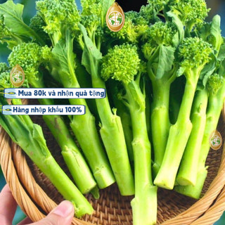 Mầm bô- cải xanh -chịu nhiệt (bông cải trắng nhỏ), khoảng 300 mầm mỗi gói, dễ trồng và năng suất cao, k011Trung Quốc nhậ