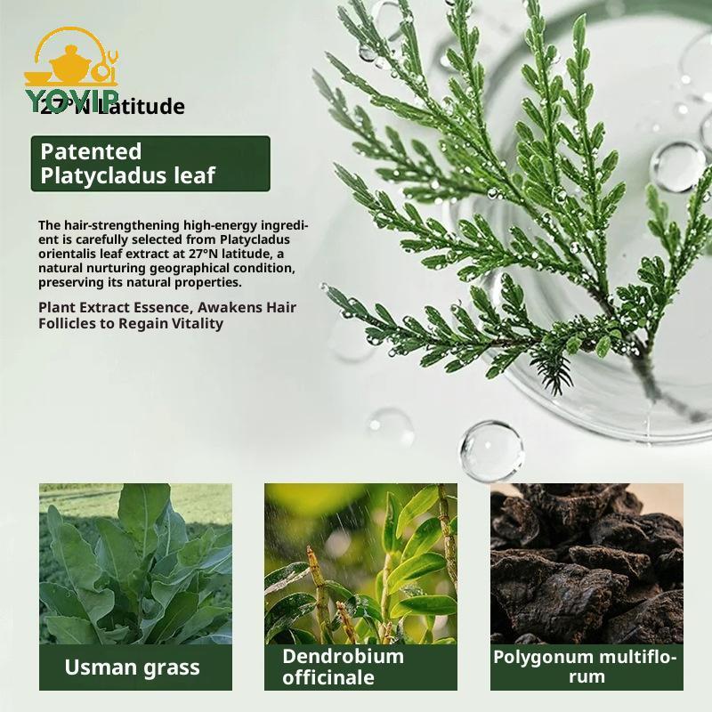 YOVIP Arborvitae Lá Dầu Gội Xà Phòng Chống Gàu Mạnh Mẽ Tăng Cường Rễ Tóc Kiểm Soát Dầu Hiệu Quả Ngăn Ngừa Rụng Tóc Dầu Gội Chắc Chắn VN