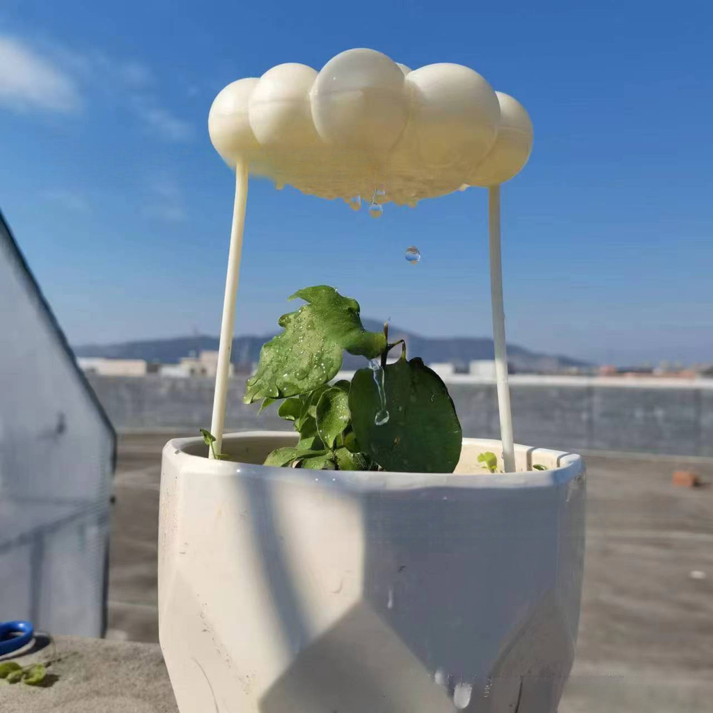 Sân Cây Trang Trí Sân Vườn Trang Trí Cây Tưới Cây Mưa Mây PlantWaterRainCloud12.17