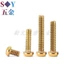 Chất liệu thép không gỉ 304 Đầu tròn bên trong Torx Vít chống trộm Đầu đĩa Bu lông Titan Xe máy Vít sửa đổi