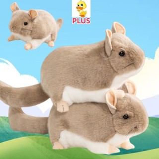 PLUS✨Hàng✨Tư Thế Nằm Thực Tế Totoro Sang Trọng Đồ Chơi Dễ Thương Mềm Totoro Búp Bê Nhồi Bông Trẻ Em Đi Kèm Búp Bê Sang Trọng Quà Tặng Bạn Gái Giáng Sinh Sang Trọng Quà Tặng COD