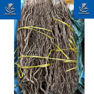 SIÊU RẺ.Lũa Rễ rừng xoắn INDO nguyên vỏ [100gr] Mềm, Dẻo | Trang Trí Setup bể thủy sinh, cá cảnh, layout siêu đẹp và tự.