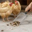 Gói 2 Muỗng Phân Gia Cầm Bằng Thép Không Gỉ Nhẹ Và Tiện Dụng Để Bảo Trì Coops Nhanh