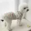 【Ready Stock】 Pet Dog Cat Clothes Spring and Summer New Cute Colorful Sausage Dog Vest Teddy Bichon Small Dog Clothing 9QqG