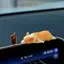 Ge Sáng Tạo Mini Ngủ Corgi Xe Trang Trí Trung Tâm Điều Khiển Trang Trí Mô Phỏng Dễ Thương Nhựa Động Vật Búp Bê Nội Thất Ô Tô Adorns n