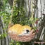 Đồ trang trí tượng chó trong vườn Đồ trang trí bằng nhựa dễ thương sáng tạo cho hàng rào bãi cỏ sân hiên