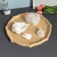 Ở Lại Silicon Bảo Quản Khuôn Hình Conch với Nắp Đậy - Khuyến khích Sáng Tạo