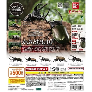 Hàng có sẵn BANDAI Capsule Toy Sách minh họa sinh học 10 Beetle Big Pocket Worm Mô phỏng côn trùng Đồ trang trí WW4N