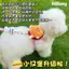 【Ready Stock】 Hamburger Dog Hand Holding Rope Dog Leash Anti-off Vest Traction Belt Dog Kittens Small Dog Teddy Bichon Pomeranian 8vdZ
