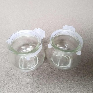 Combo 1 hộp cóng thủy tinh tròn tai nhựa rời ( 1 hộp - 12 cái ) cho cu gáy , mào ,chèo , my , khứu