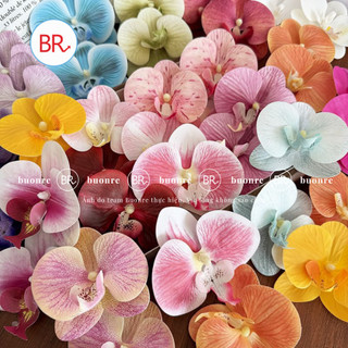 [Bán Sỉ] Set 10/20 Đầu Hoa Lan Hồ Điệp Trang Trí Tháp Bánh, Hộp Quà – Phụ Kiện Decor Hàn Quốc ANGIHOME