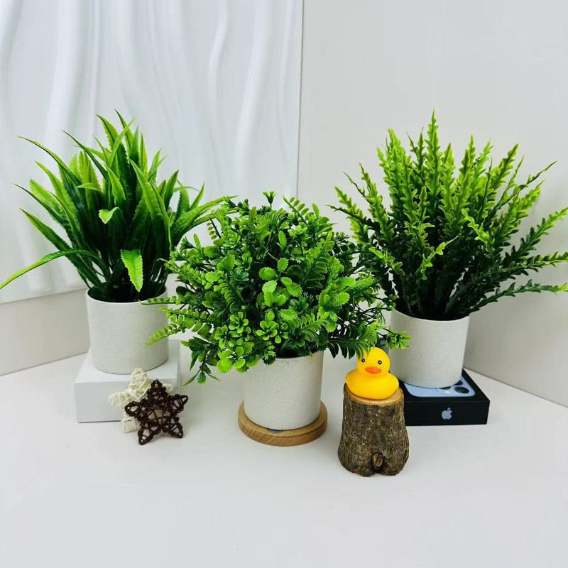 Cây Giả Kèm Chậu để Bàn 23cm, Cây Nhân Tạo Trang Trí Nhà Cửa, Xanh Mãi Mãi, Nhà Cửa, Văn Phòng, Quán Cafe