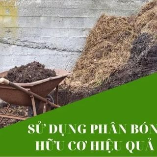 Phân hữu cơ hoai mục bón hoa, rau củ quả cực tốt - Hàng công ty loại 1