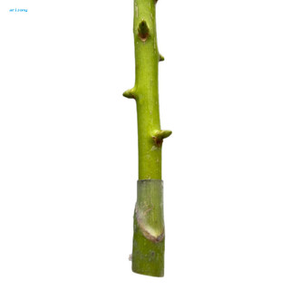 《 penstok 》 Ống ghép tay cây có thể phân hủy sinh học Ống ghép silicon Ống mỏng co giãn cho cây ăn quả – Liên kết cây nhanh Tỷ lệ thành công cao nhanh chóng cho Garde