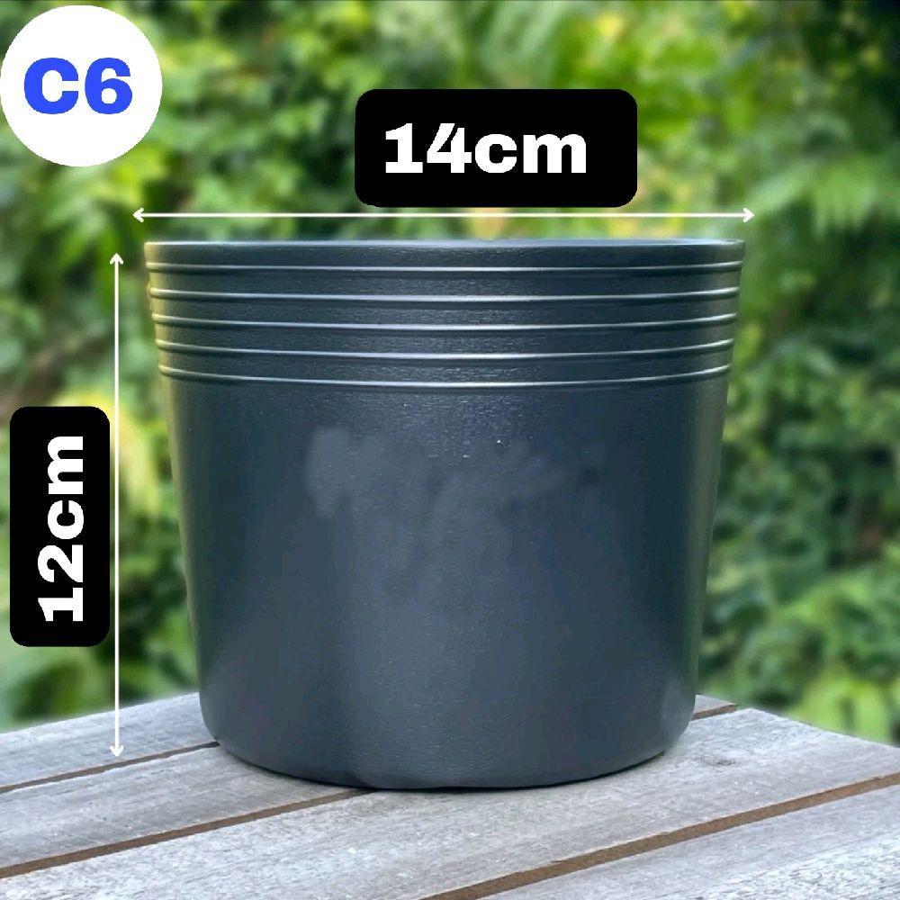 [50c] Chậu nhựa C6 Liên An ( 14×12 ) chất liệu nhựa HPDE chậu nhựa cao cấp hàng xuất khẩu