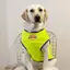 【Ready Stock】 Dog Clothes Large Dog Spring and Summer Thin Clothes Golden Retriever Labrador Husky Vest Breathable Mesh Clothing A5dP