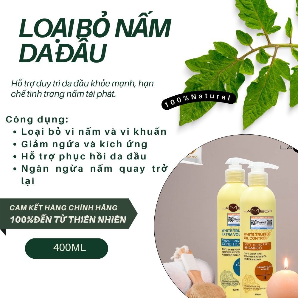 Cặp Dầu Gội Xả LAMBOR VÀNG 1000ml – Phục Hồi Tóc Hư Tổn, Sạch Gàu, Kiềm Dầu & Ngăn Gãy Rụng