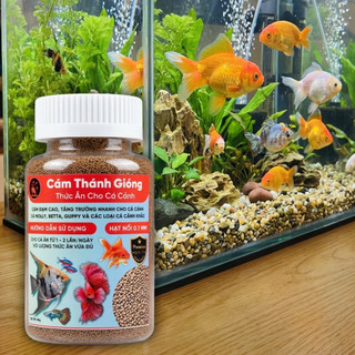 Thức Ăn Cao Cấp Cho Cá Cảnh - Cám Thánh Gióng Đạm Cao Viên Nổi Siêu Nhỏ - Cá Lớn Nhanh Thấy Rõ