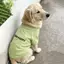 【Ready Stock】 Avocado Green Big Dog Clothes Samoyed Golden Retriever T-shirt Medium Large Dog Dog Thin Clothes pBh4
