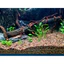Cát suối Tự Nhiên | cát biotop - black water | trang trí trãi nền bể thủy sinh bể cá cảnh siêu đẹp sỏi suối ...