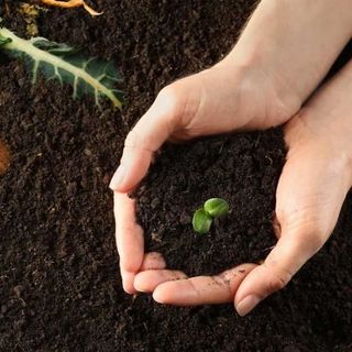 Phân hữu cơ hoai mục bón hoa, rau củ quả cực tốt - Hàng công ty loại 1