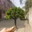HFTOY 1 Cái DIY Cây Ăn Quả Thu Nhỏ Trang Trí Cảnh Quan Thu Nhỏ Cát Bàn Xây Dựng Mô Hình Thực Tế Trang Trí Cây Quả ~