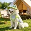 【Ready Stock】 Dog Clothes Summer Cool Clothes Thin Breathable Sun Protection Pet Border Collie Samoyed Medium Large Dog Big Dog Vest GsJr