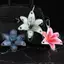 Creative Orchid Lily Mô Phỏng Móc Khóa Hoa Thời Trang Bapa Phụ Kiện Trang Trí [Mới]