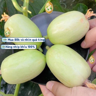 nhập khẩuHạt giống dưa leo ngọc nữ ,Bao bì gốc, 20 hạt giống， dưa chuột ngọc nữ siêu trái -k005