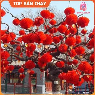 [20 CÁI] Đèn lồng đỏ treo trang trí Tết, lồng đèn trang trí nhà cửa, lồng đèn nilong