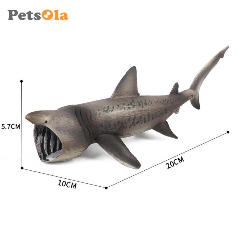 Basking Shark Mô Hình Bộ Sưu Tập Mô Hình Playset Giáo Dục Đồ Chơi Học Tập Sinh Vật Nhân Vật Bộ Sưu Tập Chơi Giảng Dạy