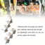 Toyuvn Toyuvn 2 Bộ Chỉnh Đàn Guitar Máy Đầu Chỉnh Phím Dây Chốt 3L3R Vật Dụng Cổ Điển