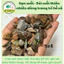 ( .. Sạn Suối - Sỏi suối thiên nhiên Trải Nền Trang Trí Bể Cá Thuỷ Sinh, Bán Cạn, BIOTOP . )