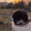 Homicipher Trò Chơi Ngoại Vi Bò In Sang Trọng Búp Bê Plushie Đồ Chơi Nhồi Bông10Cm Mặt Dây Chuyền Quà Tặng Sinh Nhật