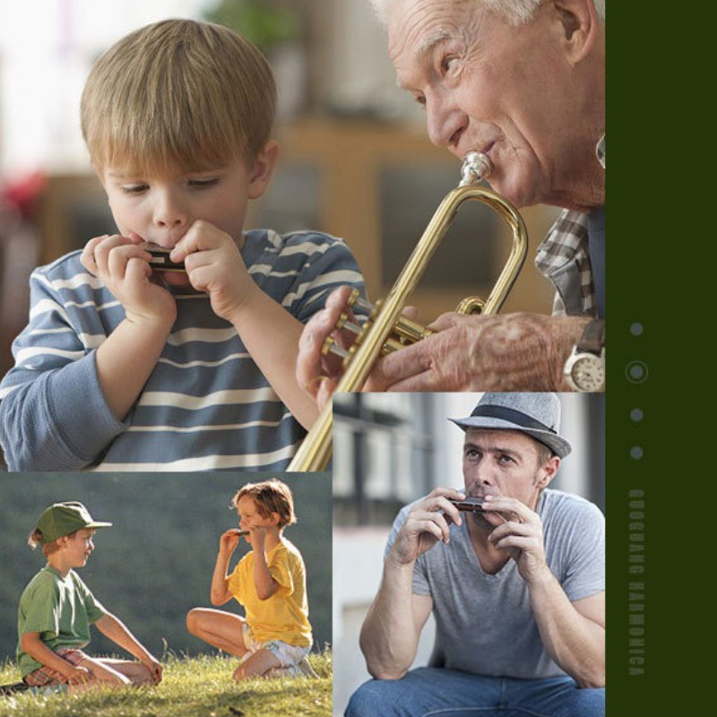 Kèn Harmonica 24 Lỗ,Có Nhiều Màu Sắc để Lựa Chọn,âm Thanh Hay,có Hộp Nhựa,cho Người Mới Hojc,người Chơi Nâng Cao