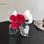 TRTR Trong Suốt Bướm Acrylic Bình Hoa Ba Chiều Cắm Hoa Phụ Kiện Bình Bướm Trang Trí Nhà Cửa VN
