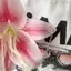 Creative Orchid Lily Mô Phỏng Móc Khóa Hoa Thời Trang Bapa Phụ Kiện Trang Trí [Mới]