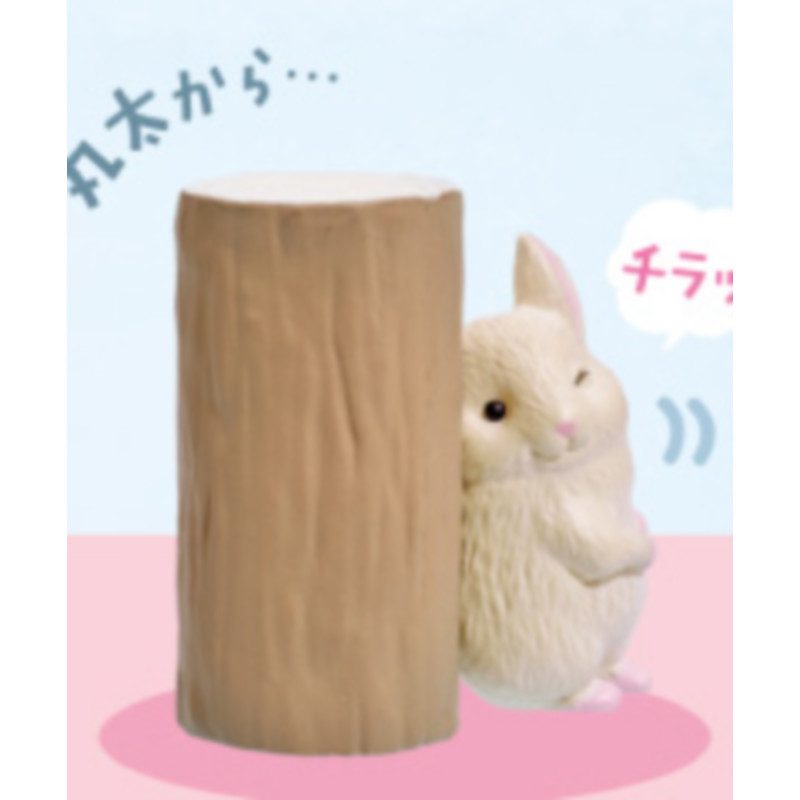 [BTF] Hàng có sẵn Đồ chơi viên nang YELL Nhật Bản giấu hàng xóm của tôi Totoro Đồ trang trí Peekaboo Biểu hiện nhỏ dễ thương KS0C