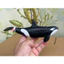 Đức schleich Ocean Series Killer Whale Killer Whale Killer Đồ chơi mô phỏng mô hình